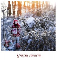 &quot;Gražių švenčių&quot; Birutė